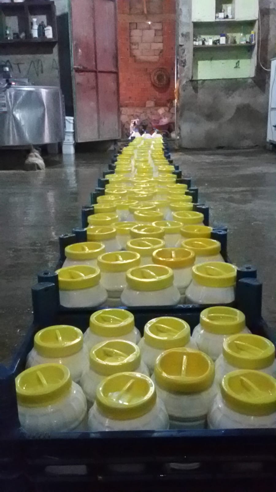 Asaf Tarım ve Hayvancılık